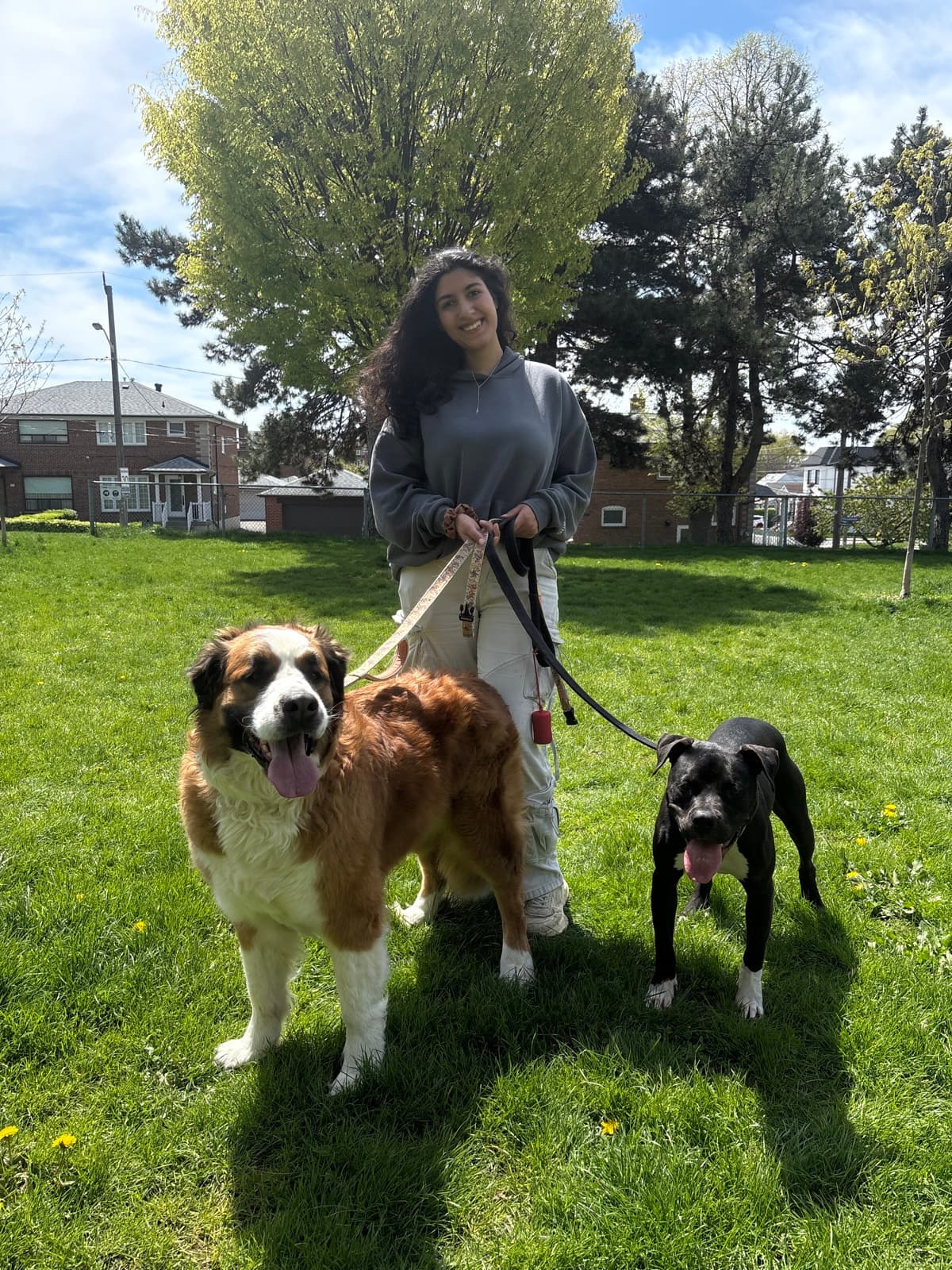 Amelia with a dog in her care